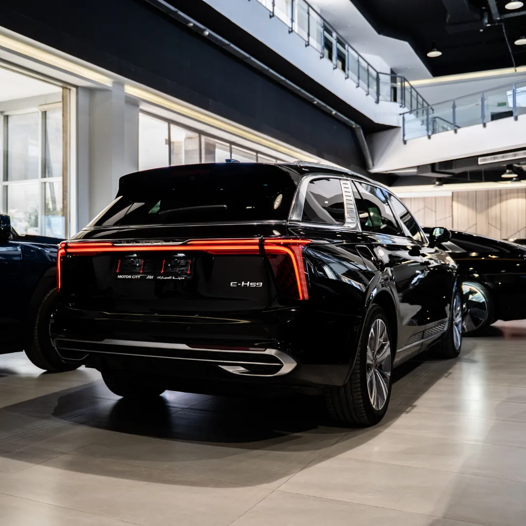 E-HS9